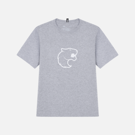 Camiseta Furia Classic 2 Cinza Mescla