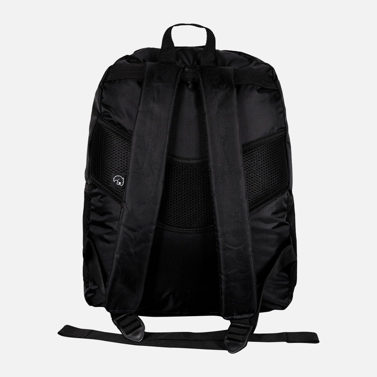 image_828dd59d-898e-4268-a5a7-66cddfcace19