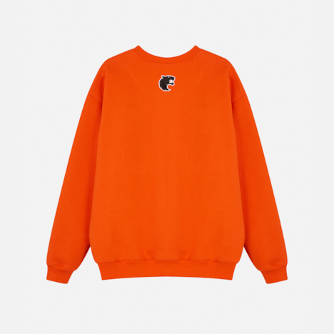 Segunda imagem do produto Moletom Careca Furia Magic Panthera Laranja