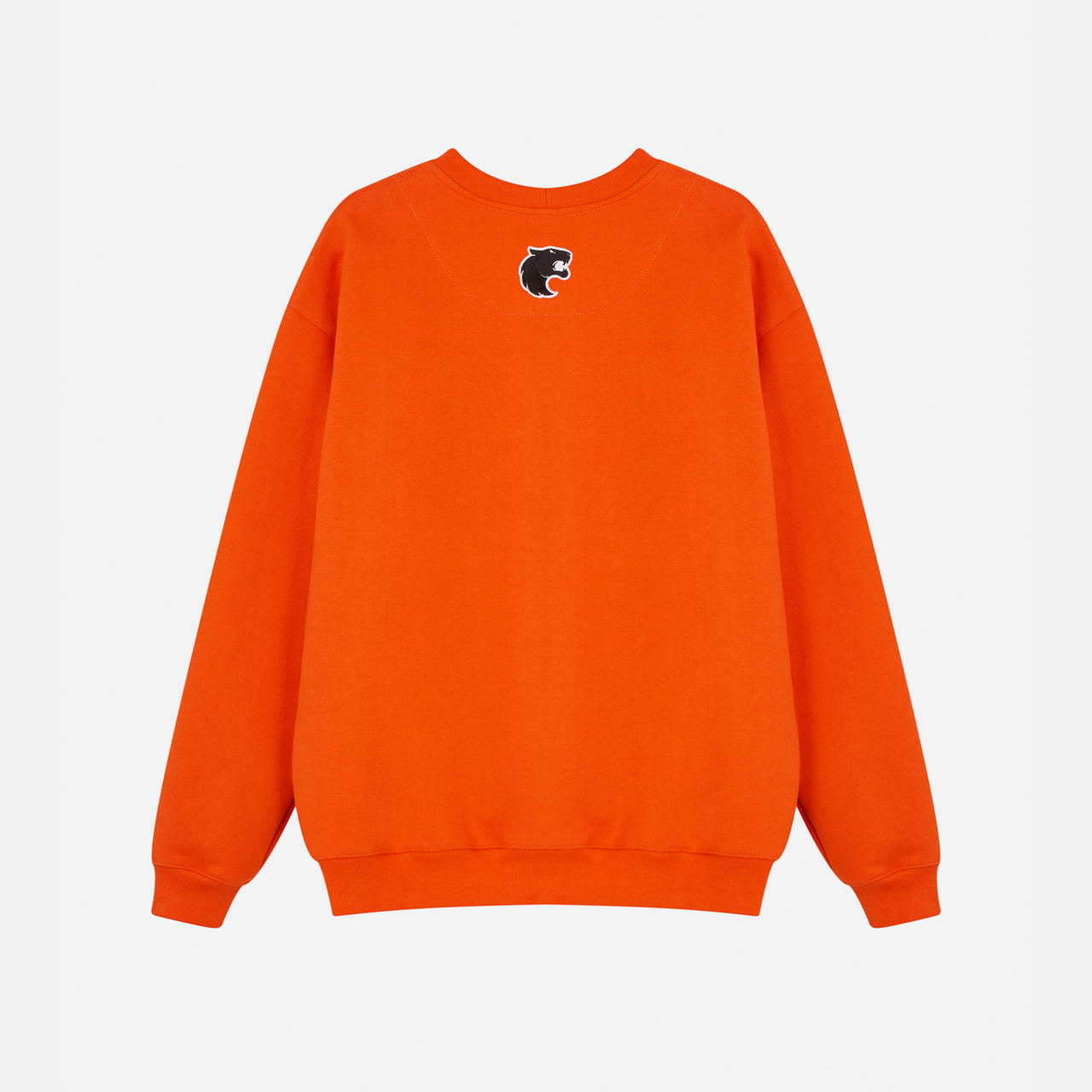 image_423b9401-fe0b-4212-af2e-566754c64956